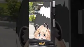 MANAGER THE WEIRD CAT IS BACK
