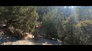 Mission: Trail  Exploration  Mt. Charleston #2 6.6.21
