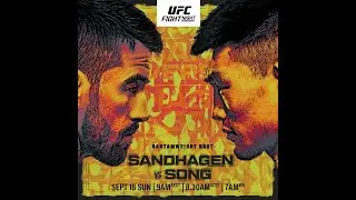 Разбор турнира UFC Fight Night   Sandhagen vs  Song