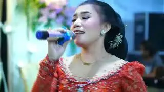 EGO WONG TUO CAMPURSARI PUTRA DINASTY TERBARU 2025 DONGKREK