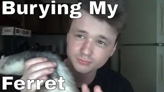Burying My Ferret