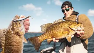 Catch More Fall Bass. (Jigging Shadow Rap Trick)