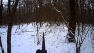 chasse sanglier 19 01 2013