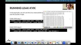 LDAK-KVIK on the UK Biobank Research Analysis Platform