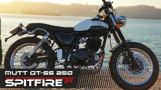 ★🔥🔴 Mutt GT-SS 250 Review ★ Review & TestRide ★🔥🔴 - PORTUGUES 💯✅