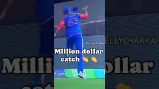 सूर्यकुमार की कैच से भारत ने जीता टी20 विश्व कप! 🏆 #t20champions  #SuryaKumarCatch #ytshorts