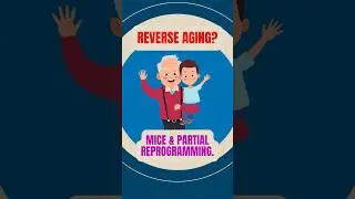 Reversing Age: Gene Reset? #science #geneticrevolution