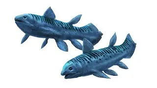 240 Million Year Old Fish Discovered Using Particle Accelerator!