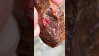Rainy Springtime Rockhounding ryohlitic jasper with a dash of cinnamon? #rockhound