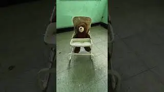 Teddy is hungry