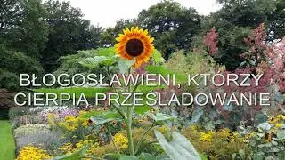 Błogosławieni, kt&oacute;rzy cierpią prześladowanie - J&oacute;zef Brandys