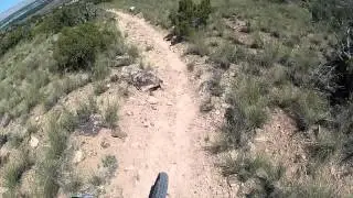 Lunch Loops: Gunny Loop Long Downhill Section (Mountain Biking)