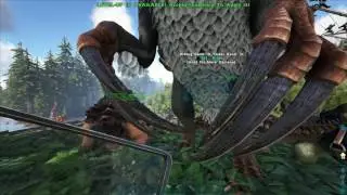 Where is Titanshield!