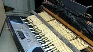 organola