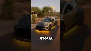 A Reactive UNDERGLOW on My Tesla?