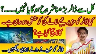 Dollar prediction in pakistan today dollar rate today in pakistan 20 oct 2023