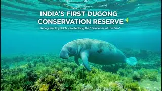 ਭਾਰਤ ਦਾ ਪਹਿਲਾ ਡੁਗੋਂਗ ਸੰਰਕਸ਼ਣ ਰਿਜ਼ਰਵ | IUCN ਵੱਲੋਂ ਮਨਤਾ ਪ੍ਰਾਪਤ | ਪਾਕ ਬੇ ਦੀ ਸਮੁੰਦਰੀ ਗਾਈ