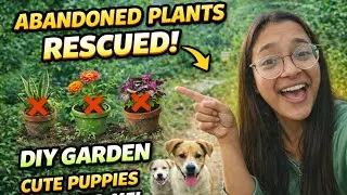 Abandoned Plants Turned Treasure 🌱 | Free Garden Makeover | Puppies Followed Me 🐶#doglove#viral#like