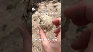 What is this THING ??? Weird beachfinds! #scotland #beach #mudlarking #shorts #mystery