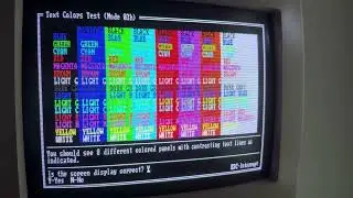 Schneider MS14 MultiScan Monitor - CGA video test