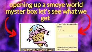 smeye world kitchen sink