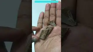 Dairy Milk Chocolaty Chocolate😊|Best Ever Chocolate At 5Rs😲|#shorts| Madhuban Review|