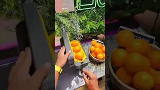 &iexcl;Exprime una naranja entera en segundos! CITRING One 🍹