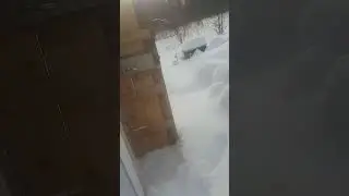 Начинаем наш день 😊❤️😺