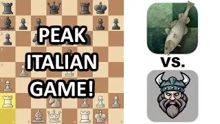 Amazing Italian Game Win From Stockfish 17.1 vs. Berserk 13! Chess Engine Match