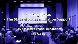 Seeking Peace: The State of Peace Mediation Support (April 22, 2024)