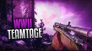 COD WW2 Teamtage