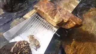 Stream Sluice Box DIY Grizzly Bars Field Test