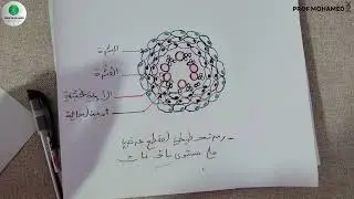 الوعاء الخشبي 🌿 تعرف على البنية بالتفصيل 🎯|01 ثانوي