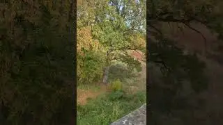 Russenlager