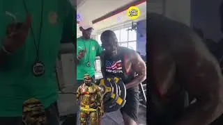 Alioune Seye 2 respire la forme #lamb #duo #luttes&eacute;n&eacute;galaise #sports #guediawaye #dakar