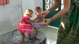 Mori Dodo Standing Offer Fruits From Mom