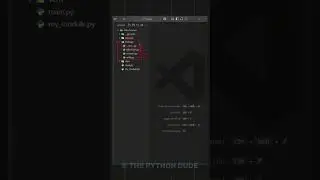 Python Module vs Package vs Libraries 
