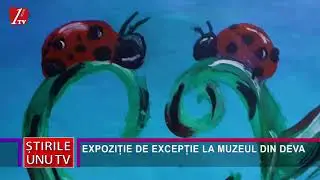 Expozitia OUTSIDER ART (Stire UNUTV )