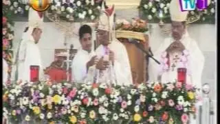The annual feast of the Madu Shrine in Mannar held today