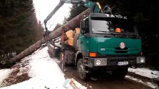 tatra 815 (euro 5)  nakladanie 8 kubikoveho dreva