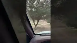 مكشات جنوب الرس طخفة