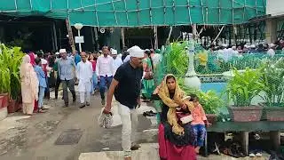 aesrd alam