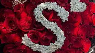 S letter Whatsapp Dp Photo | S naam ka dp Photo| S Name Photo | S dp Alphabet Profile Pictures