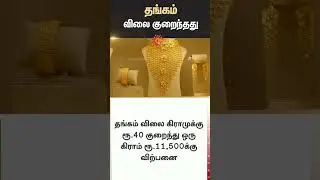 Gold Price Fall | Chennai | World Wide Demand | People | Buyers | Mines | Sun News