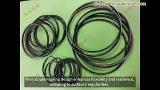 Advantages and Installation Methods of Double Spring Spring Energized Seals