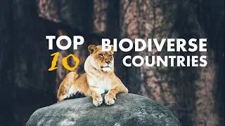TOP 10 BIO DIVERSE COUNTRIES