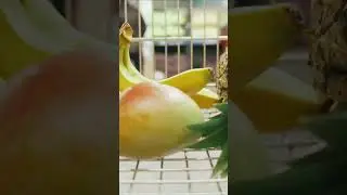 DIA DAS M&Atilde;ES - EPA SUPERMERCADOS #shorts