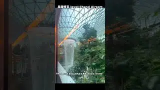 星耀樟宜！世界唯一穿越瀑布的電車....新加坡機場T2-T3免費搭乘｜我是老爸 #shorts