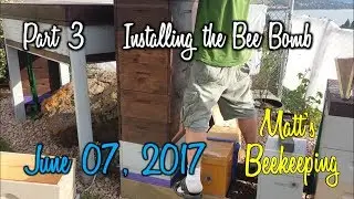 Installing the Bee Bomb - Matt's Vlog #12