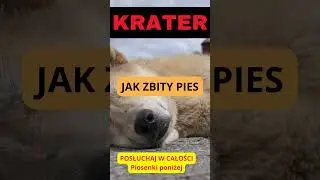 Zostawiła mi list... Zbladłem, gdy go przeczytałem! 📄😱 #JakZbityPies #discopoloai #krater